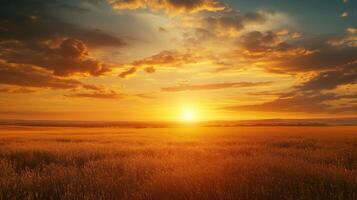 Golden sunset field photo