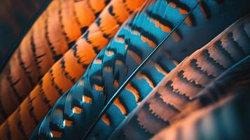 The metaphor of feathers inspiration photo
