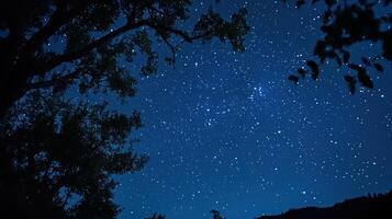 night sky dark photo