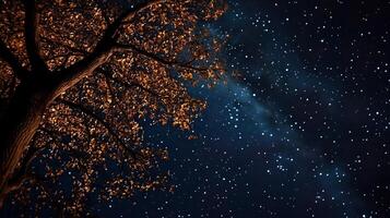 night sky space photo