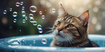 Cat being washed in bath tube full of soap bubbles. photo