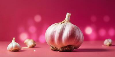 Single garlic bulb on red and pink background. photo