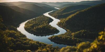 Aerial View of a River Winding Through a Lush Forest. photo