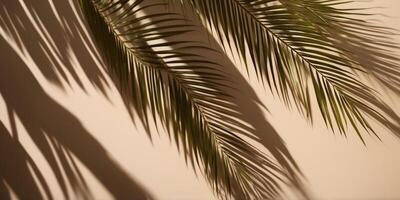 palm leaves shadows on a beige background with copy space simple minimal design for summer projects and concepts. photo
