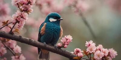 Two Birds Perched on a Branch with Pink Blossoms. photo