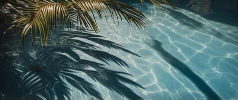 Tropical palm leaves casting shadows on a shimmering blue pool water A tranquil summer scene. photo