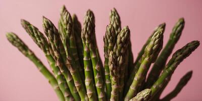 Bunch of fresh asparagus on pink background. photo