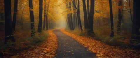 Mystical Autumn Forest Path with Warm Glowing Light and Falling Golden Leaves. photo