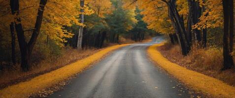 Serene Autumn Countryside Road with Golden Fall Foliage and Tranquil Atmosphere. photo