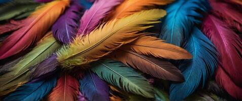 Multicolored Background of Feathers in Various Colors. photo