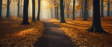 Mystical Autumn Forest Path with Warm Glowing Light and Falling Golden Leaves. photo