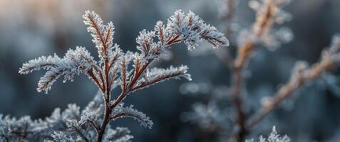 close up hazy background image of hoarfrost outside. photo
