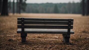 lonely wooden bench on a field with a forest as background executed in black and white. photo