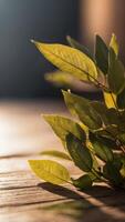 An wooden background with a shadow of a leaf on it. photo