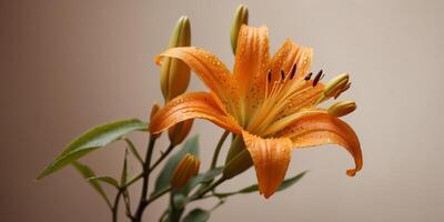 An orange background adorned with golden foliage and buds on a stucco lily. photo