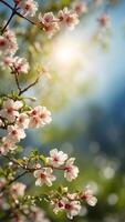 beautiful blurred background image of spring nature with sunny sky green nature and blue skies. photo