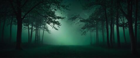 Dark Green Gradient Background with Foggy Depth of Field. photo