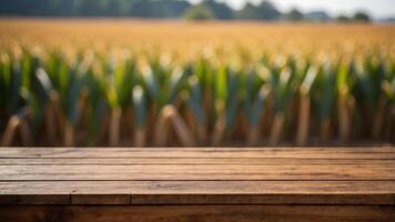Frontal view of an empty wooden brown table top with blur background of corn field. photo