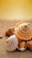 seashell on yellow background with copy space. photo