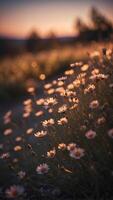 A field of flowers that bloom only under the glow of a crescent moon. photo