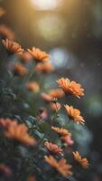 A garden where the flowers bloom only in the presence of music. photo