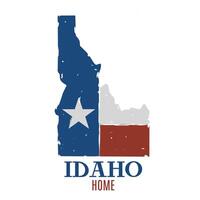 Idaho National State with American Pattern Perfect for print, apparel, sticker, etc vector