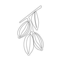 Continuous single-line art drawing of Cocoa tree. Cocoa bean outline vector