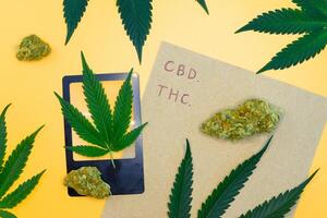 Top view of a cannabis buds with green leaf and brown paper on yellow isolated background, Scientific experiment equipment in the laboratory, concept of marijuana leaves oil extract, THC, CBD. photo