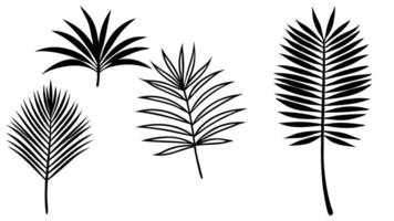 Set of 4 palm tree leaf silhouette on white background vector