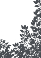 Leaves Shadow Silhouette border, Illustration isolated frame of Shadow leaf overlay background, Concept for elements design decoration for Spring, Summer Banner png