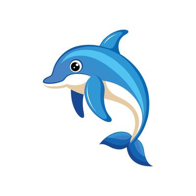 dolphin art and illustration