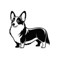 Welsh Corgi Wonders vector