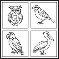 Fun kids colouring page with a variety of bird line drawings owl, sparrow, parrot, and pelican. Ideal for creative play and learning activities. vector