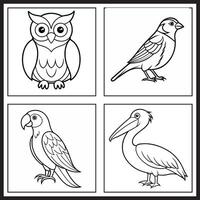four different birds and a pelican coloring pages vector