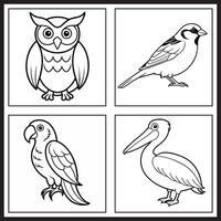 four different birds and a pelican are shown in this coloring page vector