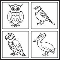 Kids' coloring page showcasing bird designs of owl, sparrow, parrot, and pelican in clean line art. Great for interactive, fun learning. vector