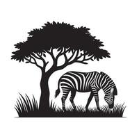 silhouette of zebra eat grass under tree in field of savannah vector
