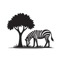 sample silhouette of zebra under tree in field of savannah vector