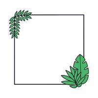 Tropical leaves and palm leaves in a square frame vector