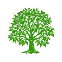 A Mango Tree Silhouette in Green vector