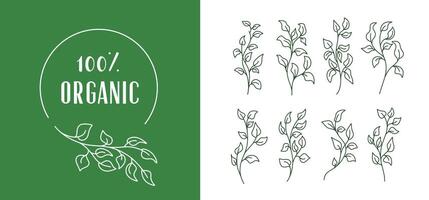 Organic leaves illustration and badges logo template. Set of Minimalist stamp labels for tag leaf leaves vector