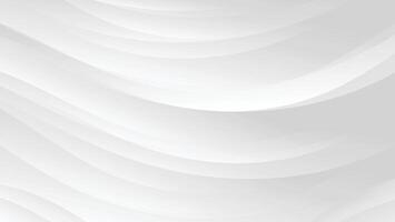 abstract white background with grey gradient color and elegant dynamic line decoration vector