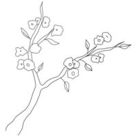 Sakura branch Illustration on a white background vector