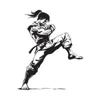 Karate Japanese Stock Illustrations isolated on white background vector