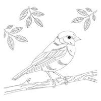 Timeless Black and White Bird Drawing vector