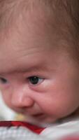 Beautiful toddler putting efforts to hold his head up. Tiny boy lying on the bed with his head to the camera close up. Blurred background. Vertical video