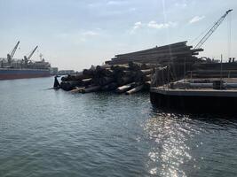 Logs stacked in harbor photo