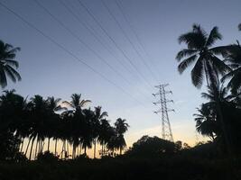 Palm Trees Silhouette Against a Sunset Sky with Power Lines. A silhouette of palm trees against a sunset sky with power lines in the distance. The sun is setting, casting a warm glow over the scene photo