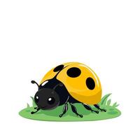 a ladybug is sitting on a white background vector