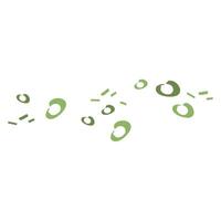spring onion illustration chopped chives vector